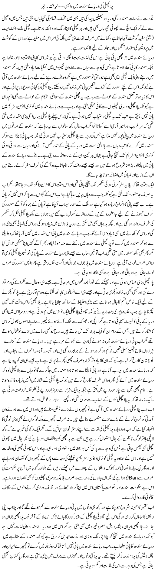 Pila Machli Ki Darya e Sindh Mai Wapsi 1 | Liaqat Rajpar | ColumnsHub