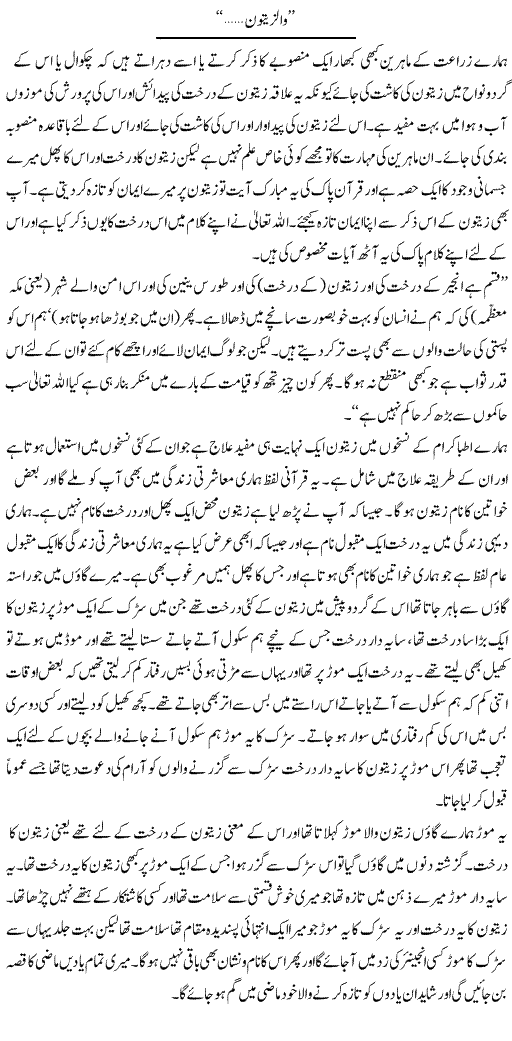 Wazzaitoon | Abdul Qadir Hassan | ColumnsHub