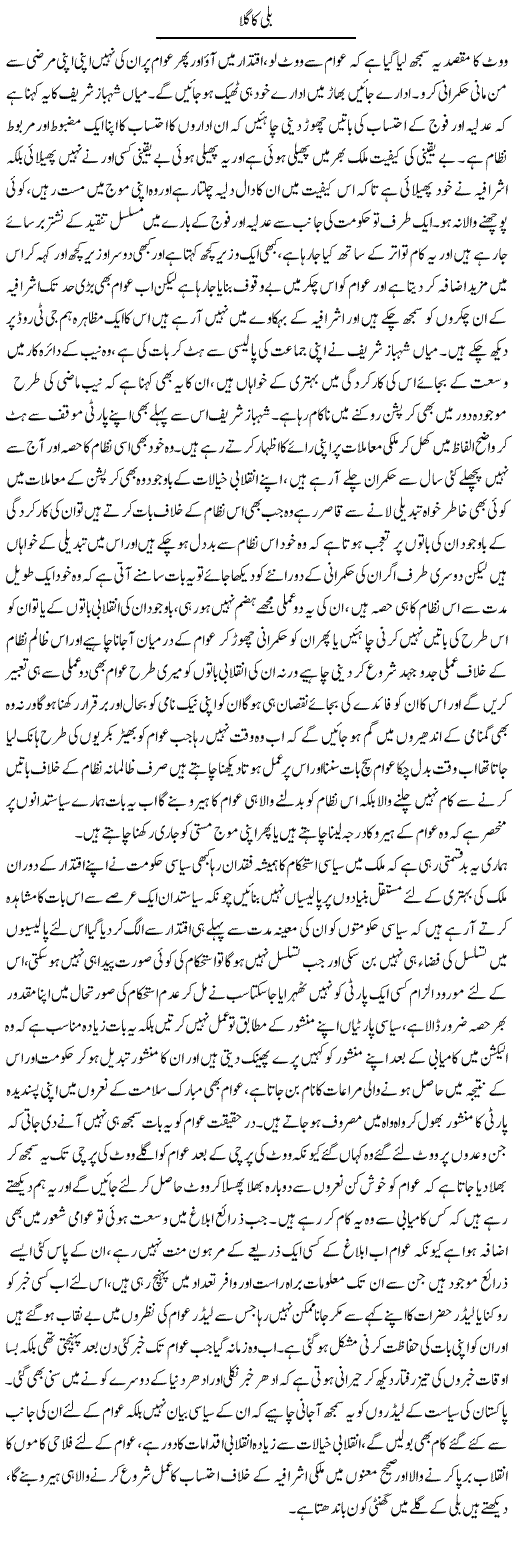 Billi Ka Gala | Abdul Qadir Hassan | ColumnsHub