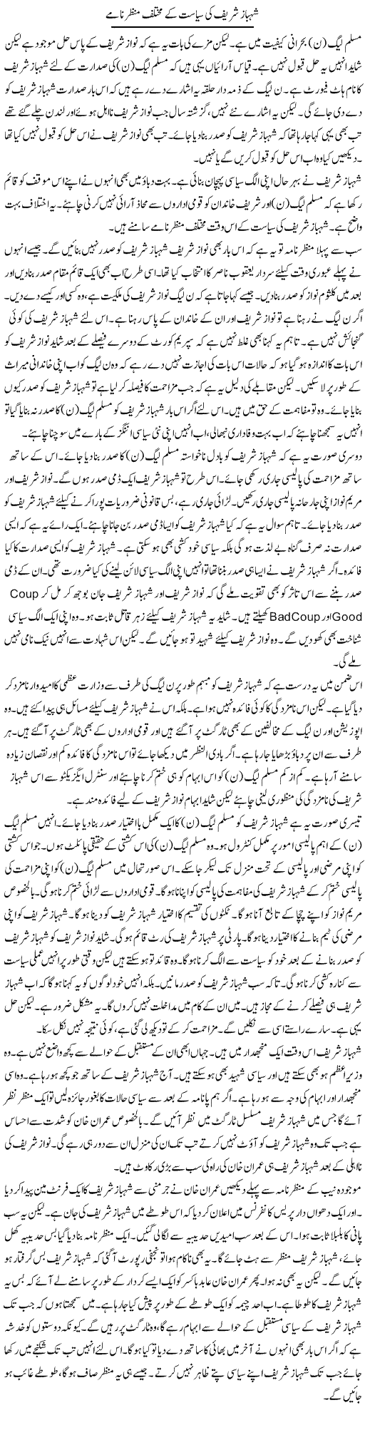 Shahbaz Sharif Ki Siasat Ke Mukhtalif Manzar Naame | Muzamal Suharwardy | ColumnsHub