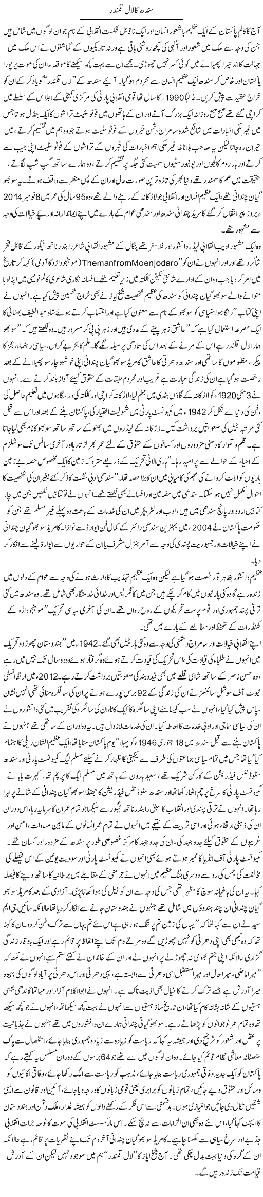 Sindh ka laal qalandar | Jamil Marghuz | ColumnsHub