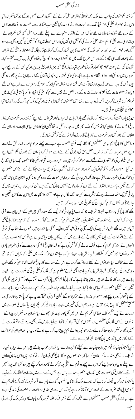 Zindagi Bakhsh Mansooba | Abdul Qadir Hassan | ColumnsHub