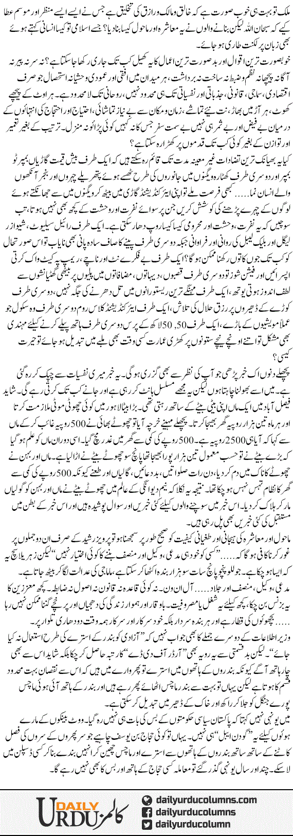 Bander Ustra Our Machis | Hassan Nisar | ColumnsHub
