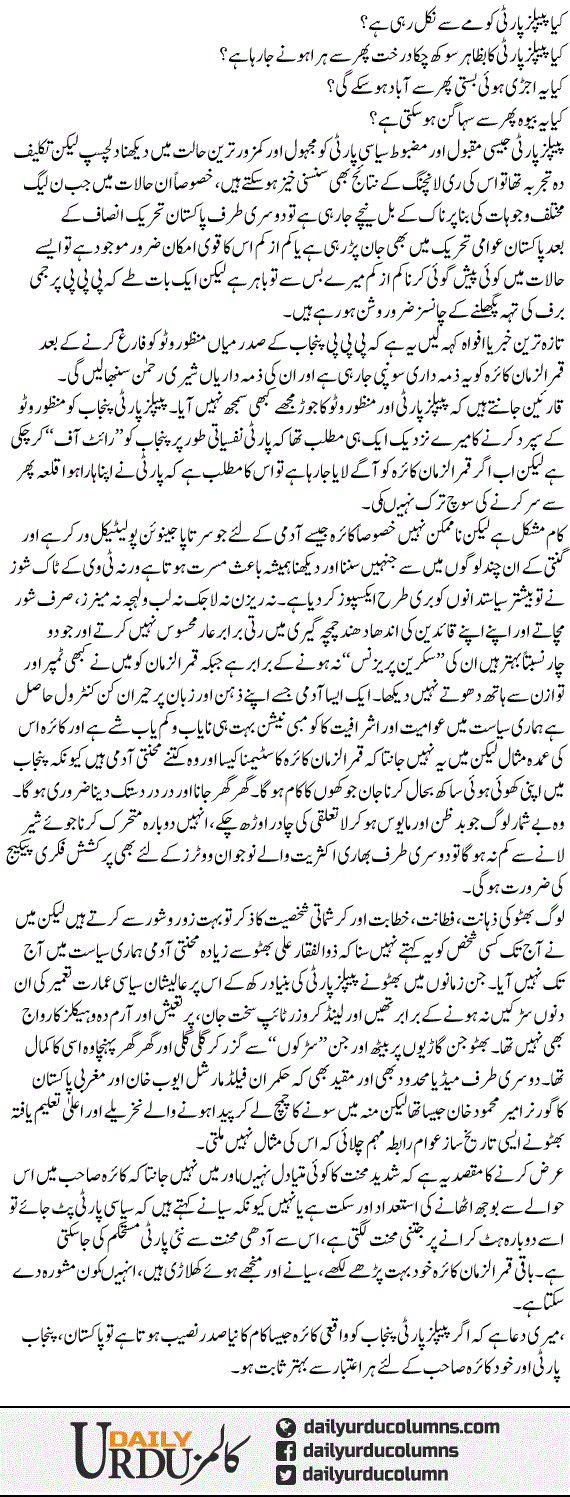 Naya Sader, Naye Peoples Party | Hassan Nisar | ColumnsHub