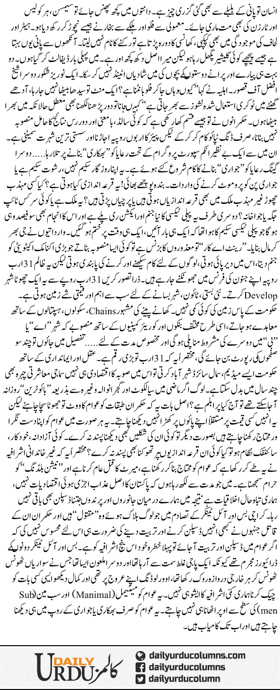 Bhikari Banao Ya Jawari | Hassan Nisar | ColumnsHub