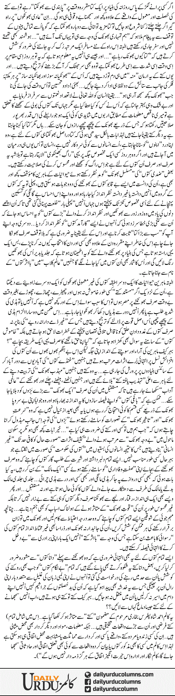 Kutte | Dr. Aamir Liaquat Hussain | ColumnsHub